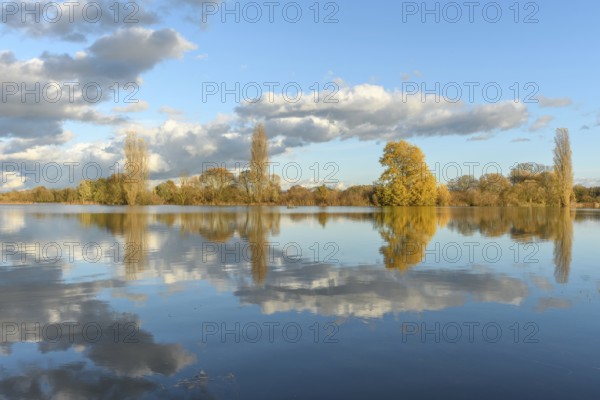 Flooded meadow after heavy rains. Autumn landscape. Bas-Rhin, Collectivite europeenne d'Alsace, Grand Est, France