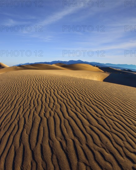 The gentle slopes of the sand dunes are rippled by the wind. USA. Mesquite Flat Sand Dunes is a picturesque part of Death Valley in California. Concept of active, ecological and photo tourism