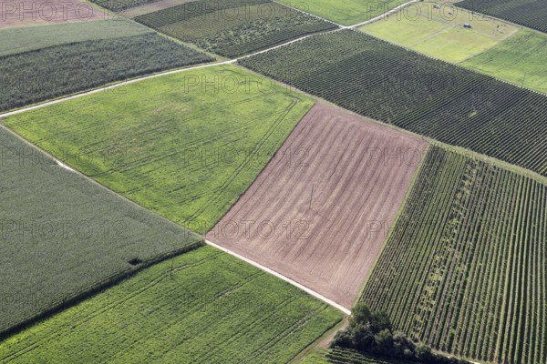 Fields from a bird's eye view