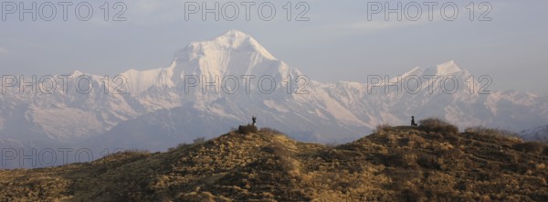 Dhaulagiri on a spring morning, view from Muldai View Point