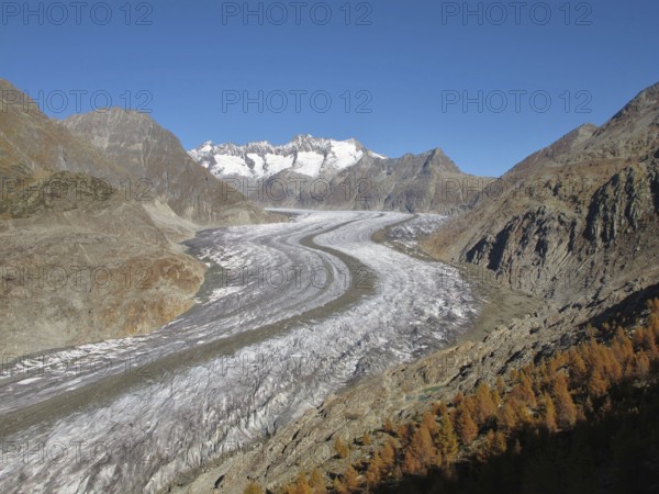 Autumn Scenery At The Aletsch Glacier