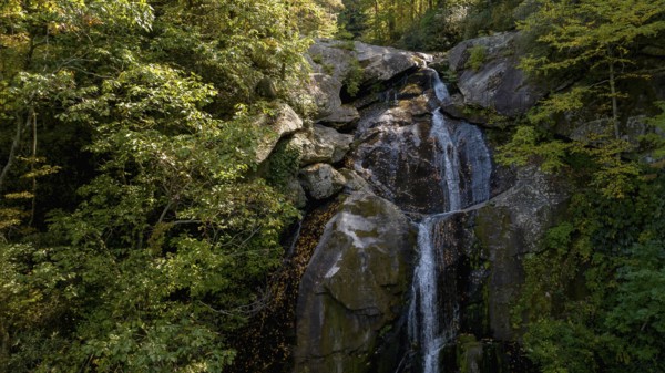 A beautiful waterfalls set in a mountain environment as the leaves start changing for fall