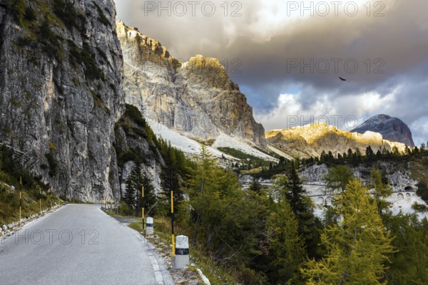 Beautiful asphalt road. The Falzarego Pass is located in the Dolomites. North of the Veneto region, Italy. The concept of active, exotic and photo tourism