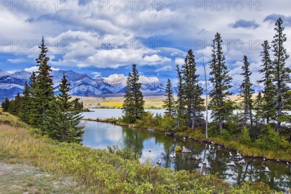 The valley along the Pocahontas road. Shallow-water lakes, picturesque firs and distant mountains. Lush clouds are reflected in the smooth water. Concept of car and ecological tourism