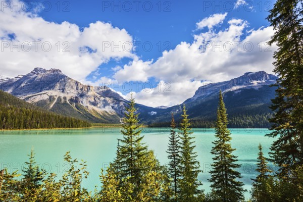 The green lake surrounded by a coniferous forest. Magic Emerald Lake in Yoho National Park, Rocky Mountains