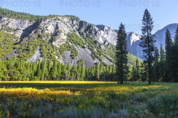 The monolithic rock El Capitan and majestic mountains surround the Yosemite Valley. The picturesque park in California, USA. The park is located on the slopes of the Snowy Mountains