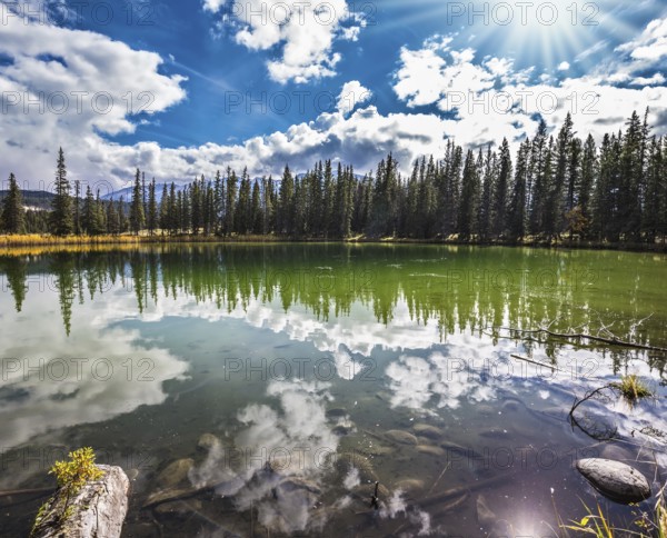 Small shallow lake surrounded by pine forest. The mirror surface of water reflects the cloudy sky. Autumn day in Jasper National Park in the Rocky Mountains