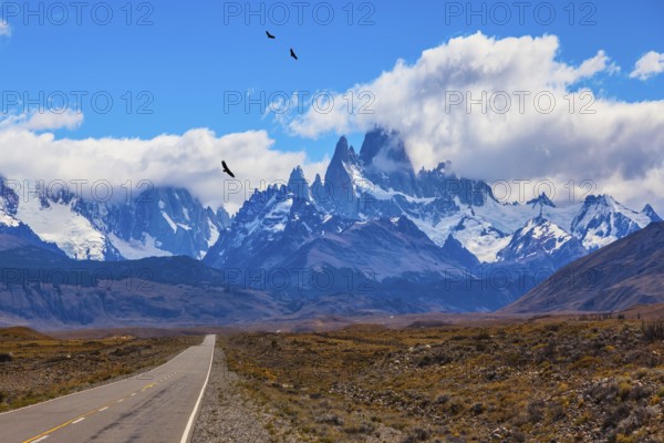 Over the road flying flock of Andean condors. The highway crosses the Patagonia and leads to snow-capped peaks of Mount Fitzroy
