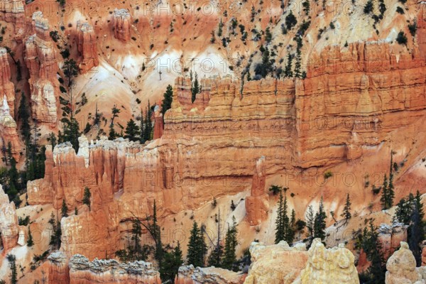 Giant hoodoo painting wall. Bryce Canyon, USA. Giant natural amphitheater created by erosion. Hoodoos that look like spiers pointing towards the sky