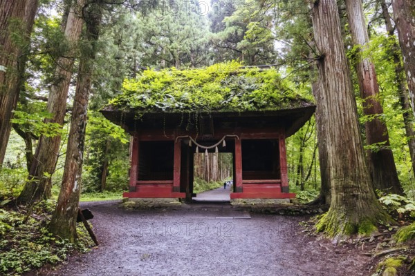 TOGAKUSHI, JAPAN - SEPTEMBER 19, 2024: Zuishinmon Gate and landscape around Togakushi Shrine on a warm autumn afternoon near Nagano, Japan, Nagano, Japan