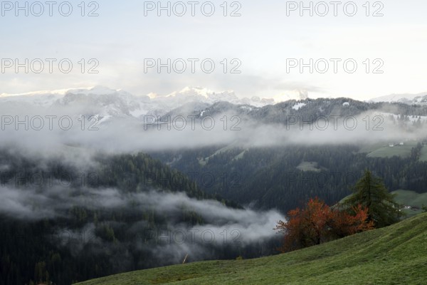 Autumn landscape with colorful trees and snowy mountains in the background in Dolomites