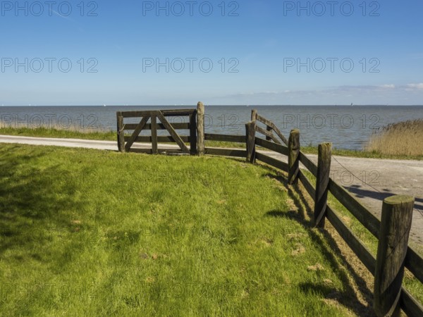 Part of a wooden fence on the shore of a lake, surrounded by grassland, enkhuizen, the netherlands