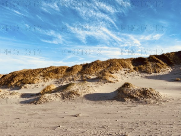 Idyllic sandy beach on the Danish North Sea can be seen stretching out under a bright blue sky