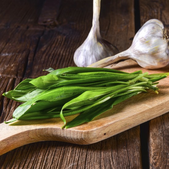 Fresh and tasty wild garlic