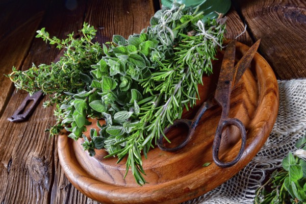 Herbal collection of: thyme, oregano, rosemary