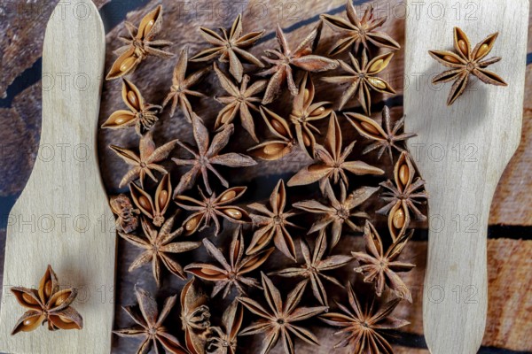 Close-up of Star anise seeds with two wooden spoons