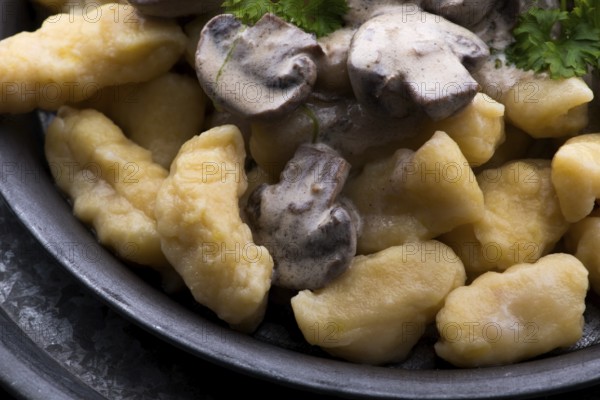 Gnocchi with a mushroom cream sauce