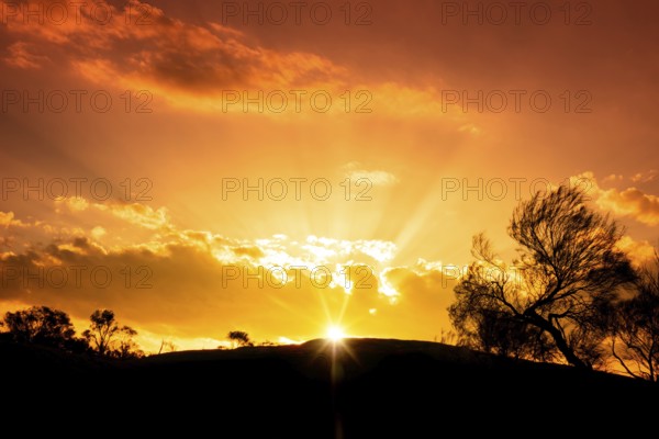 An image of a beautiful sunset in the Australia outback