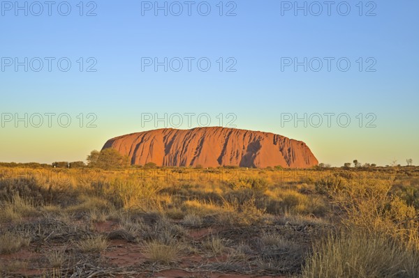 Ayers Rock or Uluru respectively at sun set. Photo shot in 2020
