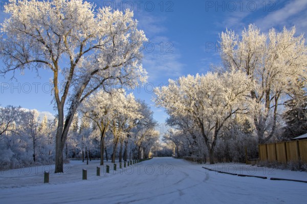 Winter Frost Saskatchewan Canada ice storm danger