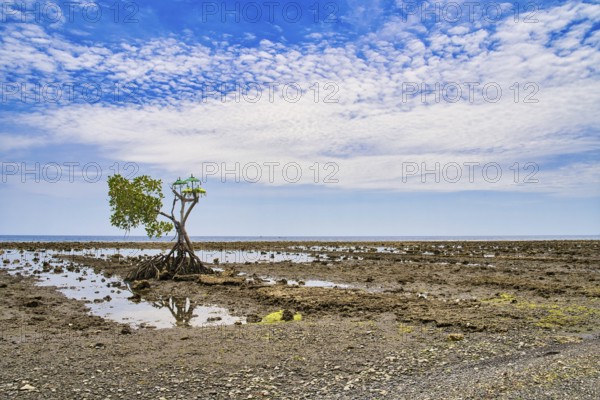 Beachsite near the former fisher-village Pemuteran at the North of Bali island. There was a Hindu shrine set at the beach. Reupload after color correction