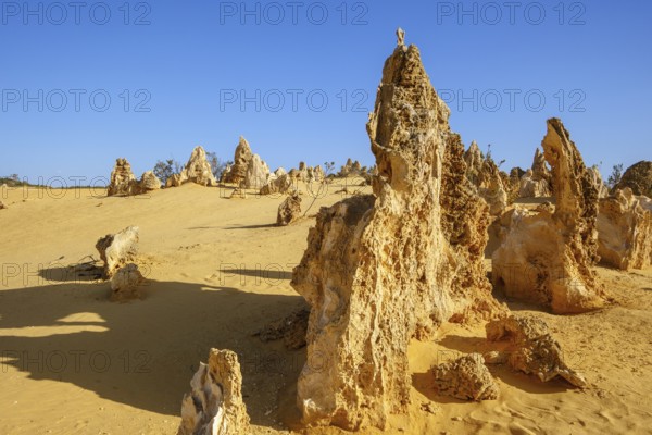 An image of the Pinnacles Desert at Nambung National Park Australia