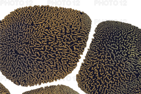Stylish backgrounds and with elegant minimal pattern. Abstract modern textures. Trendy Design