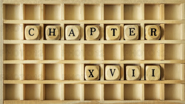 An image of a wooden game with the word chapter seventeen