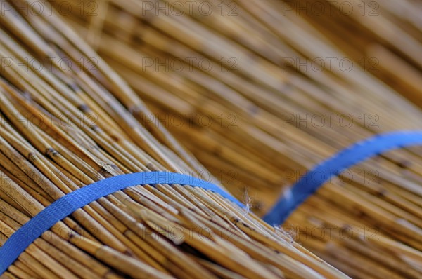 Processing of reed for thatching