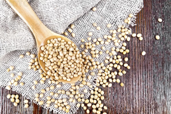Soy beans in a spoon on sacking on a dark wooden board background from above