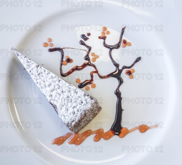 A typical italian slice of cake caprese made of chocolate and almonds with decorative tree made of peach jam and melted chocolate