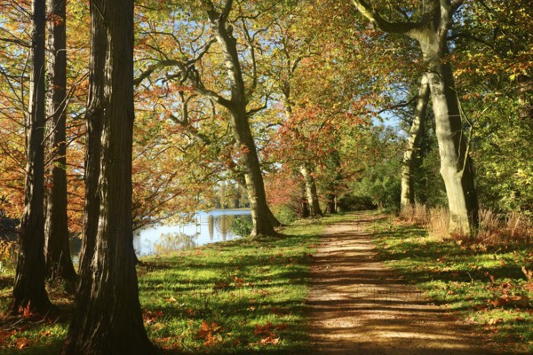 Hiking trail in autumn