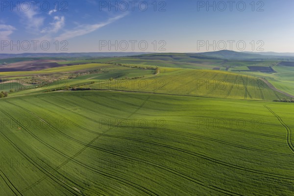 Aerial view of amazing green wavy hills with agricultural fields in spring. South Moravia region, Czech Republic