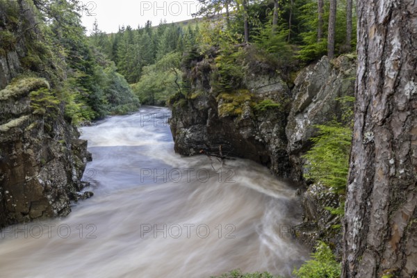Pattack Falls and rapids, waterfall on the Pattack River, Laggan, Highlands, Scotland, Great Britain