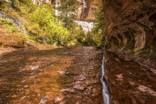 A water stream flowing through a narrow crack in the Subway gorge, Zion NP, USA