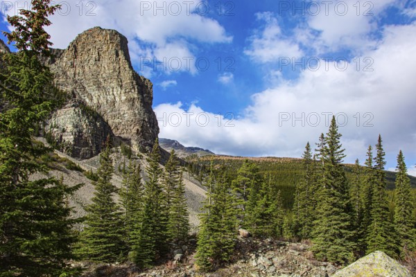 Surroundings of the mountain lake Moraine. Cloudy and cold autumn day. The magnificent Canadian Rockies. Travel to northern Canada