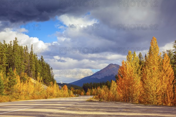 Canada, Rocky Mountains. Road in Banff National Park. Great orange and yellow autumn forest illuminated by the sunset