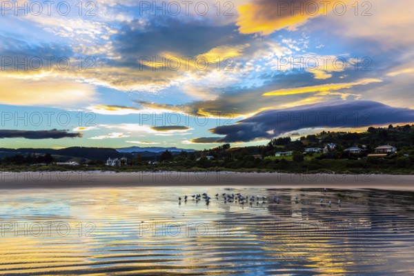 Pacific ocean, New Zealand, South Island. Incredible clouds. Evening twilight, quiet empty beach. Flock of birds resting in the water near the shore. Concept photo, eco and healthy tourism