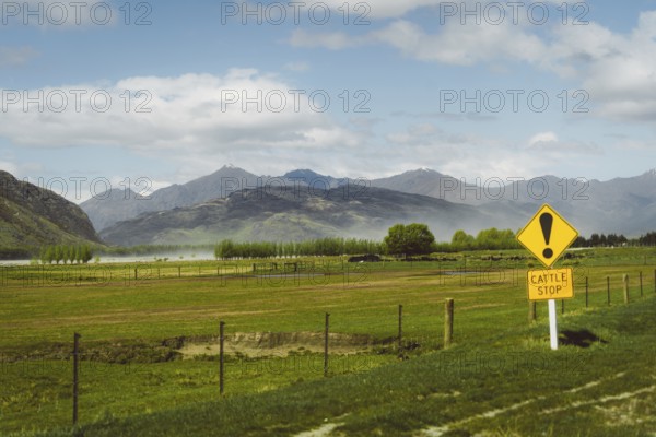 Landscape with Cattle Stop sign, green meadows and mountainous scenery under a blue sky, Cattle Flat, Wanaka, New Zealand