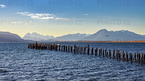A peaceful coastal landscape with mountains in the background and an old wooden jetty in the sea, view over a lake near Puerto Natales into the mountain landscape of Torres del Paine in Chile