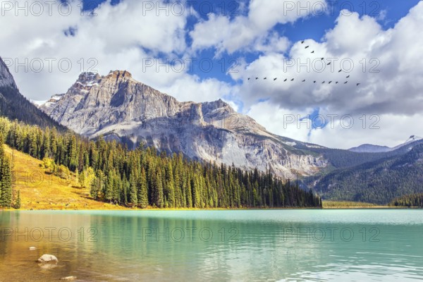 Magnificent Emerald Lake. Picturesque huge lake in the Canadian Rockies. Early morning. Coniferous forest and mountain peaks surround the lake with azure water