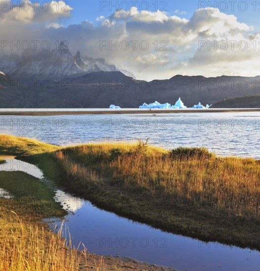 Gray lake and snow-capped mountains. Blue iceberg floating in the distance. Warm summer sunset light illuminates the grassy bank. National Park Torres del Paine, Chile