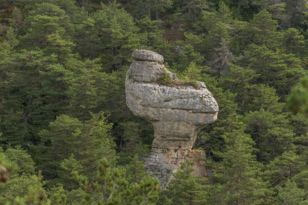 Remarkable rock called La Poule de Houdan in Cevennes National Park, UNESCO World Heritage Site. Saint Pierre des tripiers, Les Arcs de Saint-Pierre, Causse Mejean, Aveyron, France