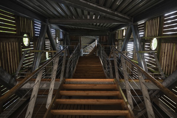Fochteloo, Drenthe, The Netherlands, 07 20 2022, Interior design in larch wood of an observation tower in the fen