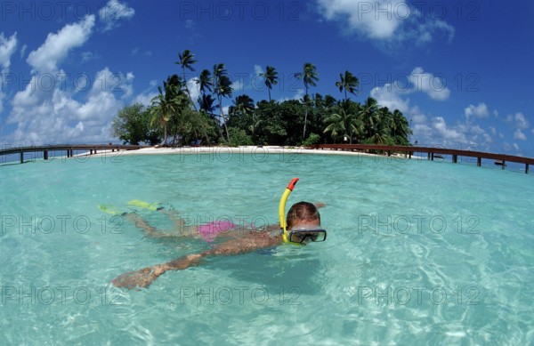 Snorkelling off Maldives Island, Maldives, Indian Ocean, Medhufushi, Meemu Atoll