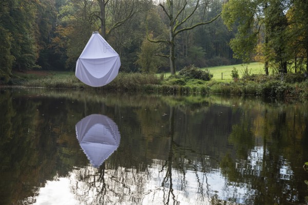 Reflecting water pond in a park with a white bed sheet hanging in a tree
