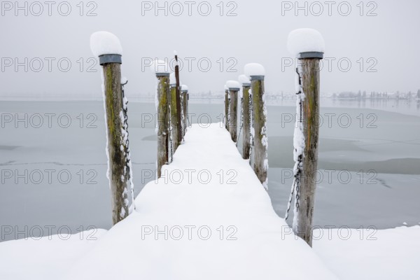 Snow-covered pier jutting into the misty lake, Seegarten, Allensbach, Lake Constance, Baden-Württemberg, Germany