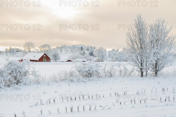 Rural winter landscape with a farm