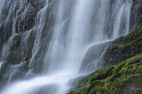 Fresh and beautiful waterfalls in a mountain torrent in spring. La Serva, Champ du feu, Vosges, Alsace, France