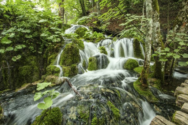 Scenic water landscape at Plitvice Lakes National Park in Croatia